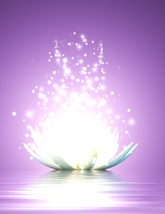 Đứng TOP 7 dòng sản phẩm máy hút bụi lau nhà tự động dùng nhiều nhất năm 2018