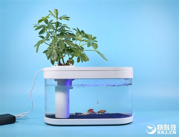 Xiaomi Ra Mắt Bể Cá Di Động Chạy Điện Và Không Cần Thay Nước Thường Xuyên, Giá Chỉ Khoảng 1 Triệu Đồng