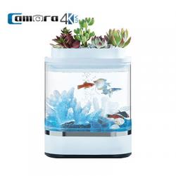 Bể Cá Thủy Sinh Xiaomi Mini