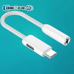 Cáp Chuyển 2 Trong 1 Type C Sang 3.5mm ZMI AL711
