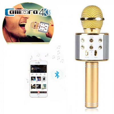 Mic Karaoke Kèm Loa Di Động Kết Nối Bluetooth Chính Hãng WSTER WS- 858