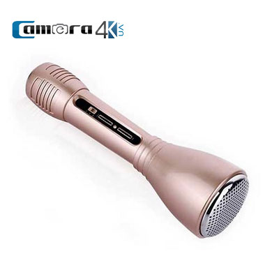 Micro Karaoke Bluetooth tích hợp loa DMK-01
