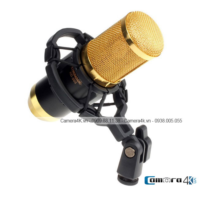 Microphone Hát KaoraKe Cho Điện Thoại BM-800